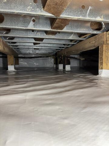 CleanSpace