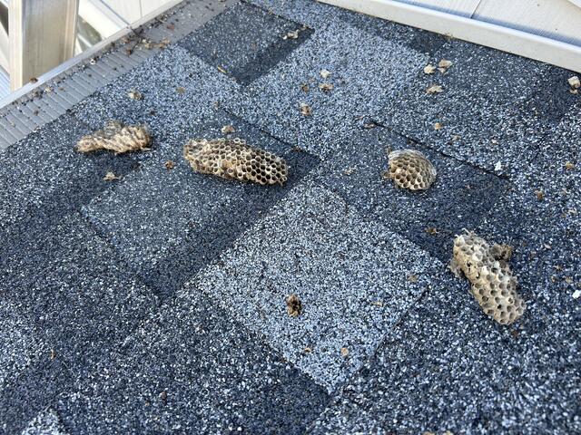 Remove the Nests & Apply Liquid Residual