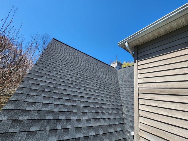 Pooping on the Roof