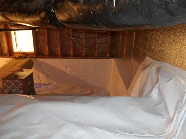 Angle 3 After