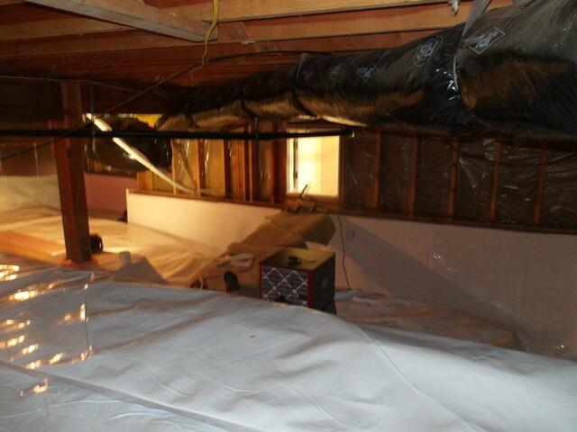 Angle 4 After