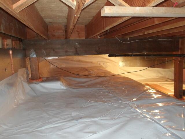 Angle 5 After