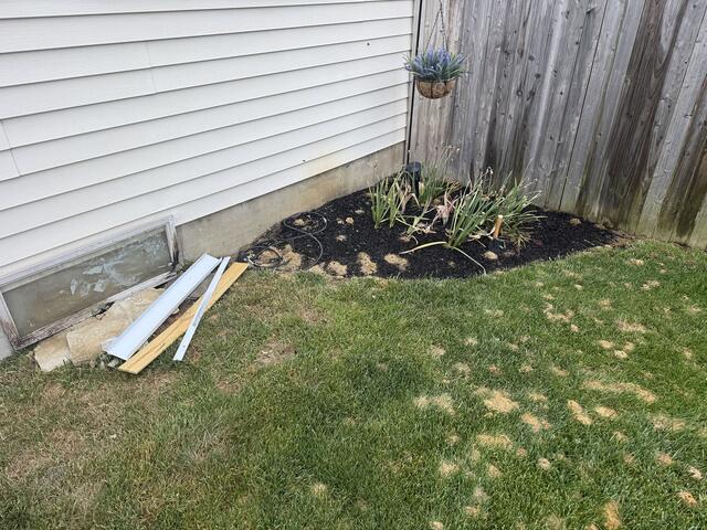 Backyard Full of Digger Bees