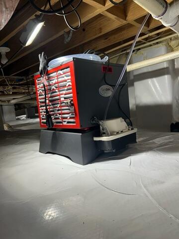 The SaniDry Sedona Dehumidifier