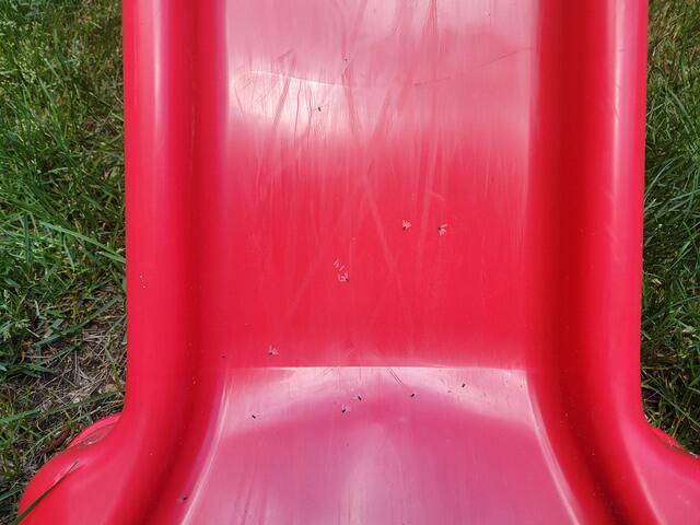 All Over the Playset