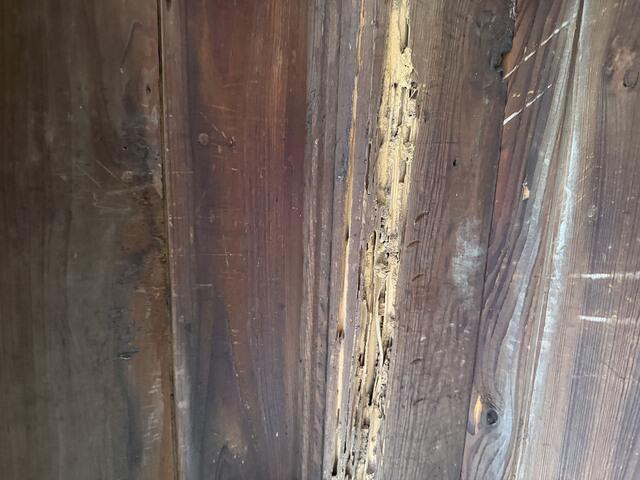 Evident Termite Damage
