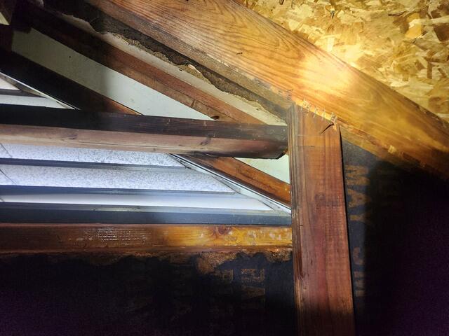 Now for Louvered Vent Guard