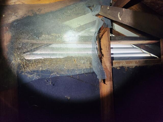 Severe Hazard to the Family