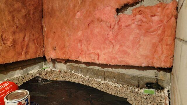 Old Fiberglass Insulation