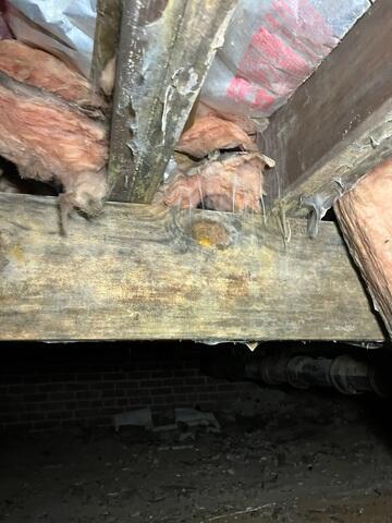 Moisture Issues