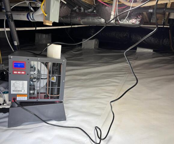 Dehumidifier