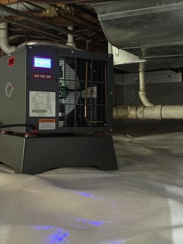 Powerful, Energy-Efficient Dehumidifier
