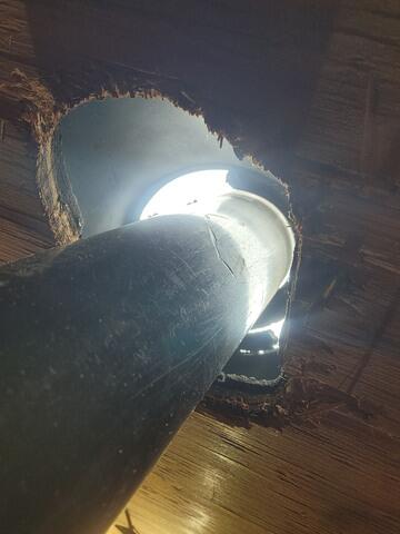 Made Their Way Into the Attic