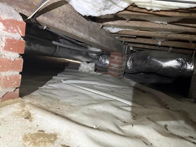 Extreme Mold Growth