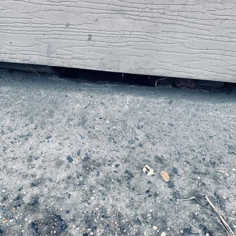 Bait Stations Installed