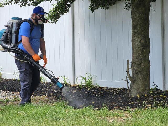 Begin the Mosquito Treatment