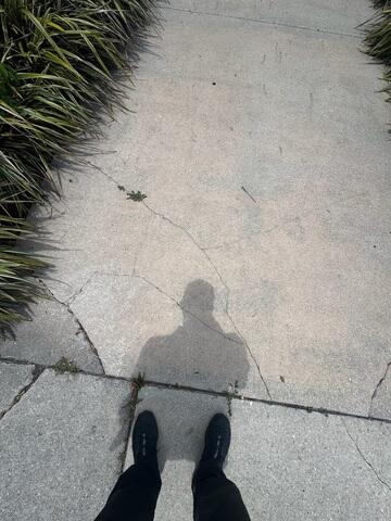 Cracked Concrete