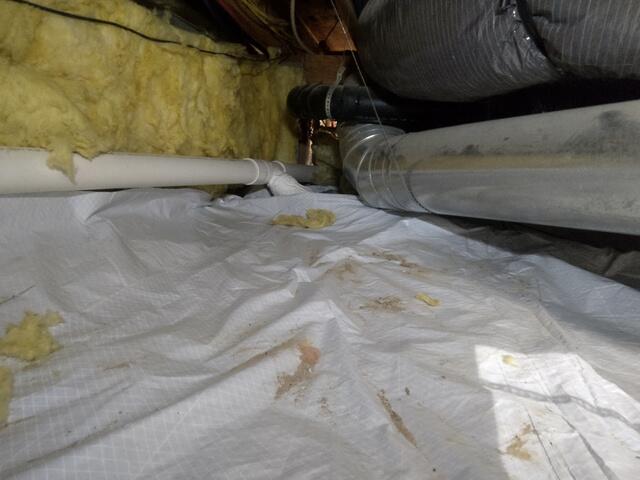 Crawlspace Encapsulation