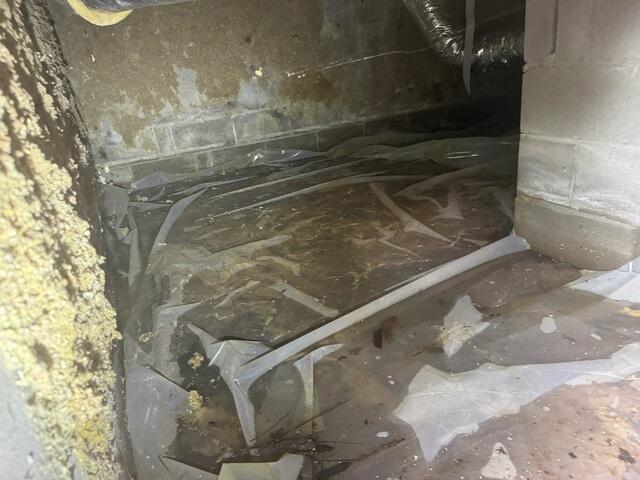 Standing Water In Crawl Space