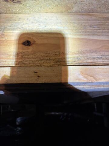 Mold Growth on Floor Joist