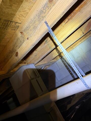 Mold Growth in Large Area