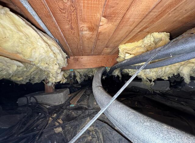 Dirty, Humid Crawl Space