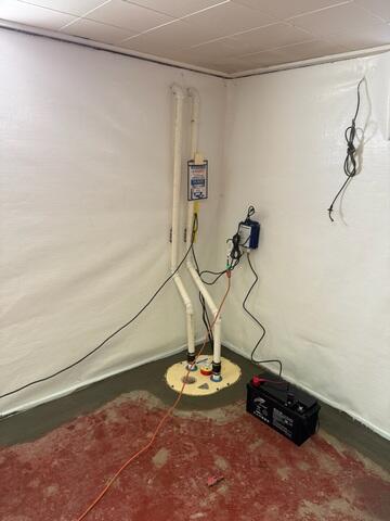 TripleSafe Sump Pump