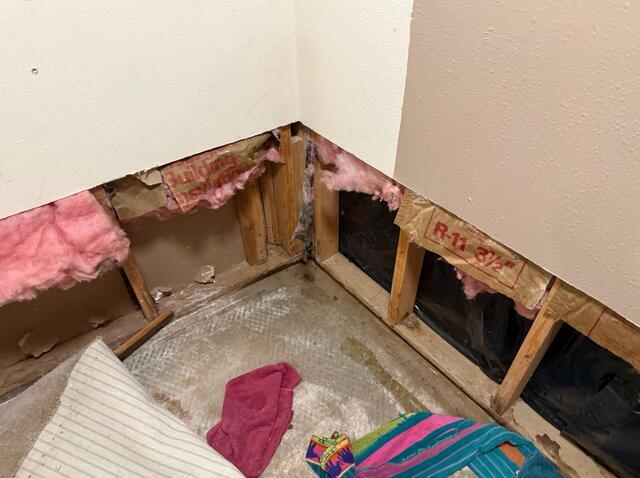 Under the Carpet - Water Seepage