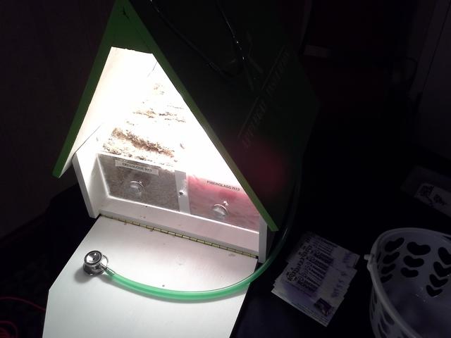 Insulation Display Reaches Summer-like Temperatures in Dover, DE