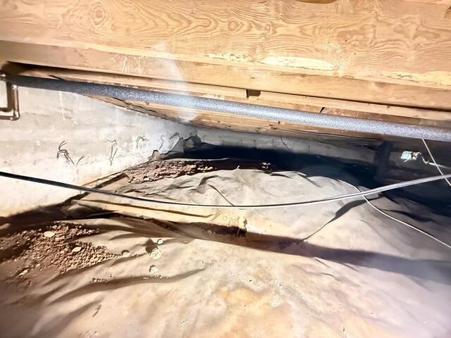Crawl Space Before