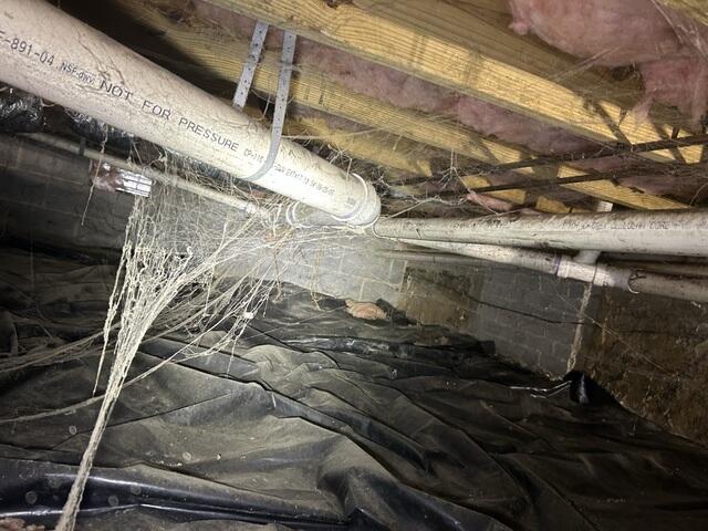 Crawl Space Before