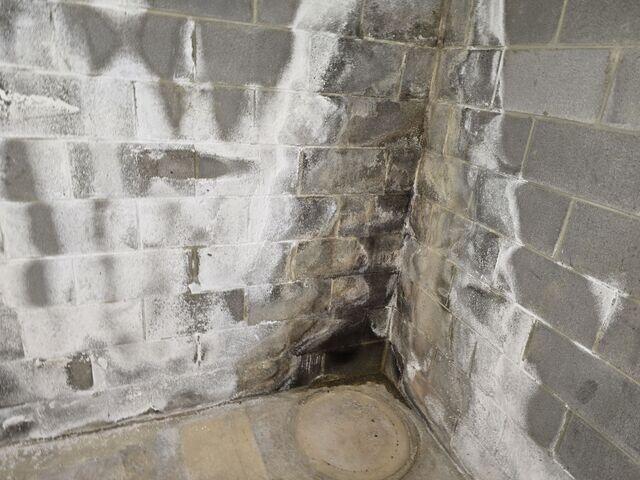 Basement Before