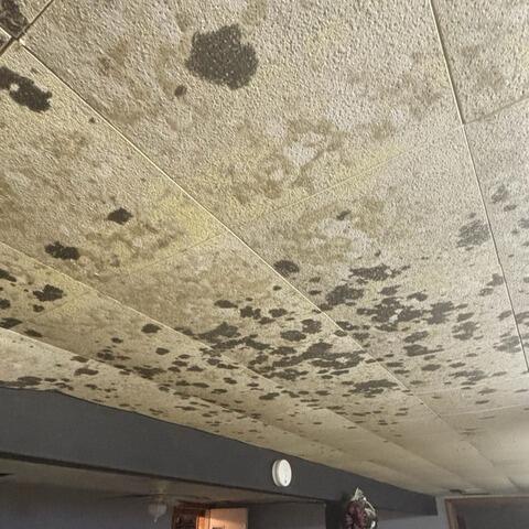 Upon inspection, we found remnants of a moldy ceiling due to moisture. Since a mold remediation company had already taken care of the mold, we focused on protecting the basement from moisture at the source.