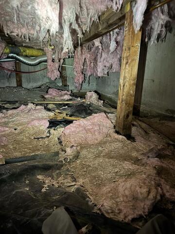 Moldy, Fallen Fiberglass Insulation