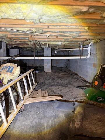 Mold Growth