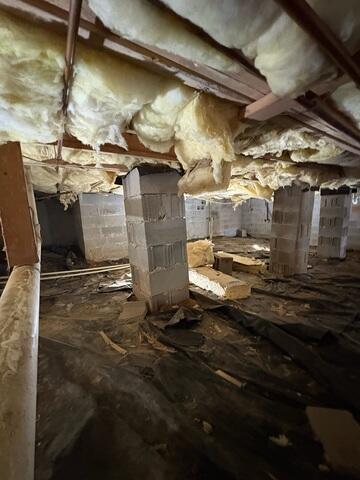 Mold Destruction