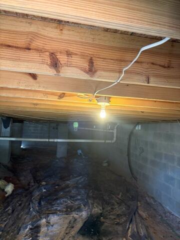 Remove mold with our safe, non-toxic soda blasting treatment