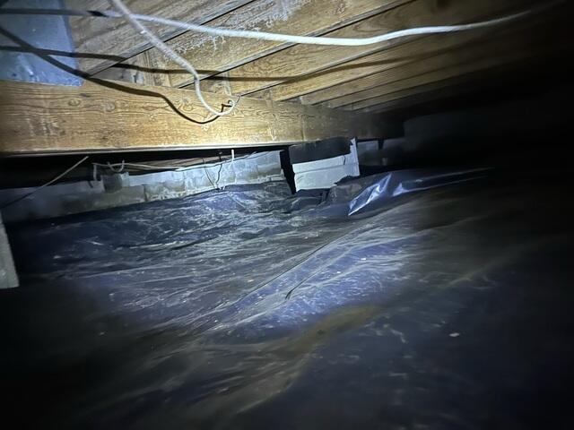 Crawl Space During Inspection