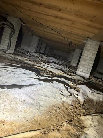 Moisture under your home mixes with dirt, creating an unpleasant environment
