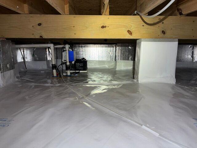 Reliable Water Protection with a TripleSafe Sump Pump