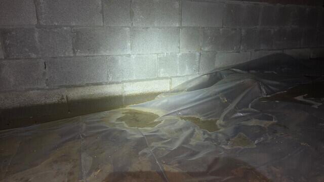 Water Damage