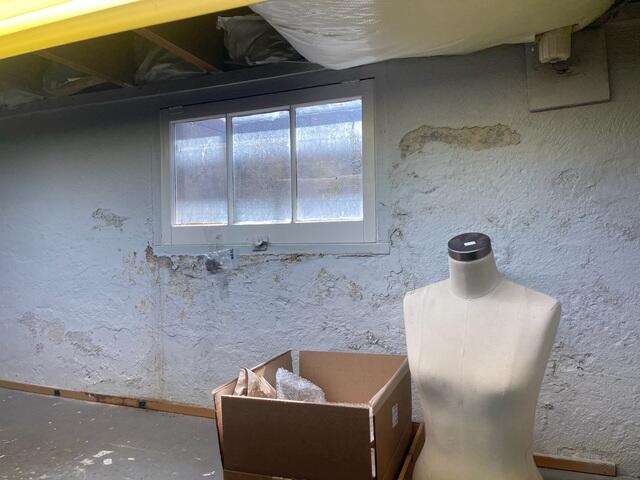 Damp Walls