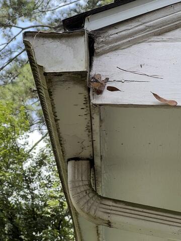 Rotting fascia
