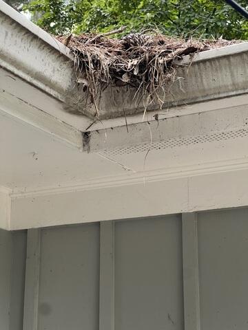 Buildup of debris