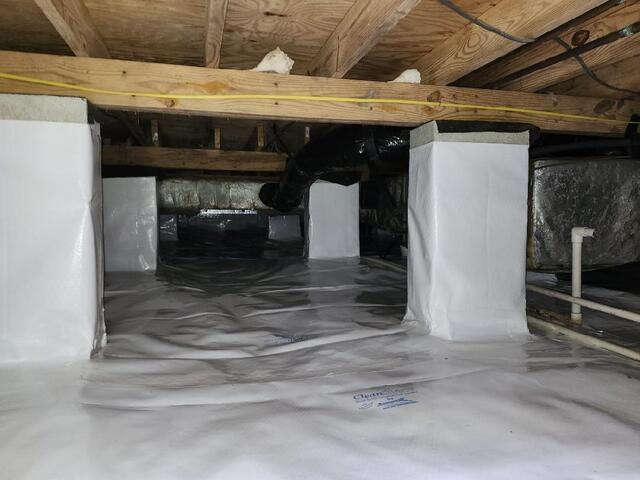 CleanSpace
