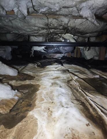 Crawl Space Moisture Damage