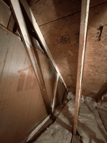 Inspecting the attic