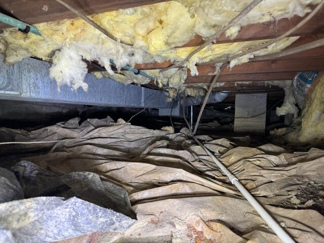 Crawl Space During Inspection