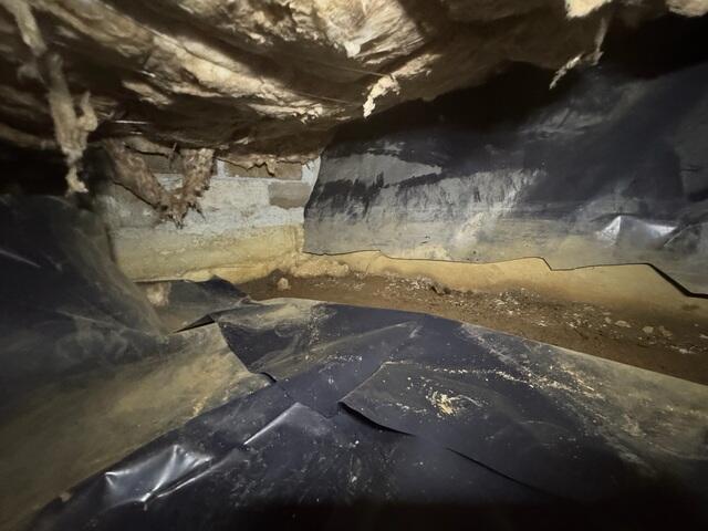 Old Vapor Barrier