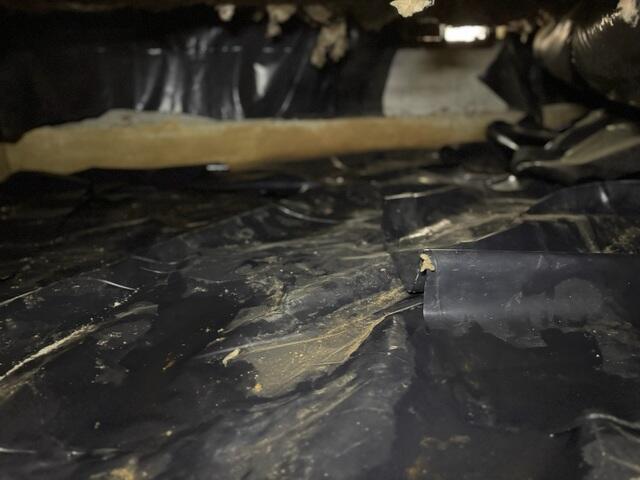 Dirty Vapor Barrier